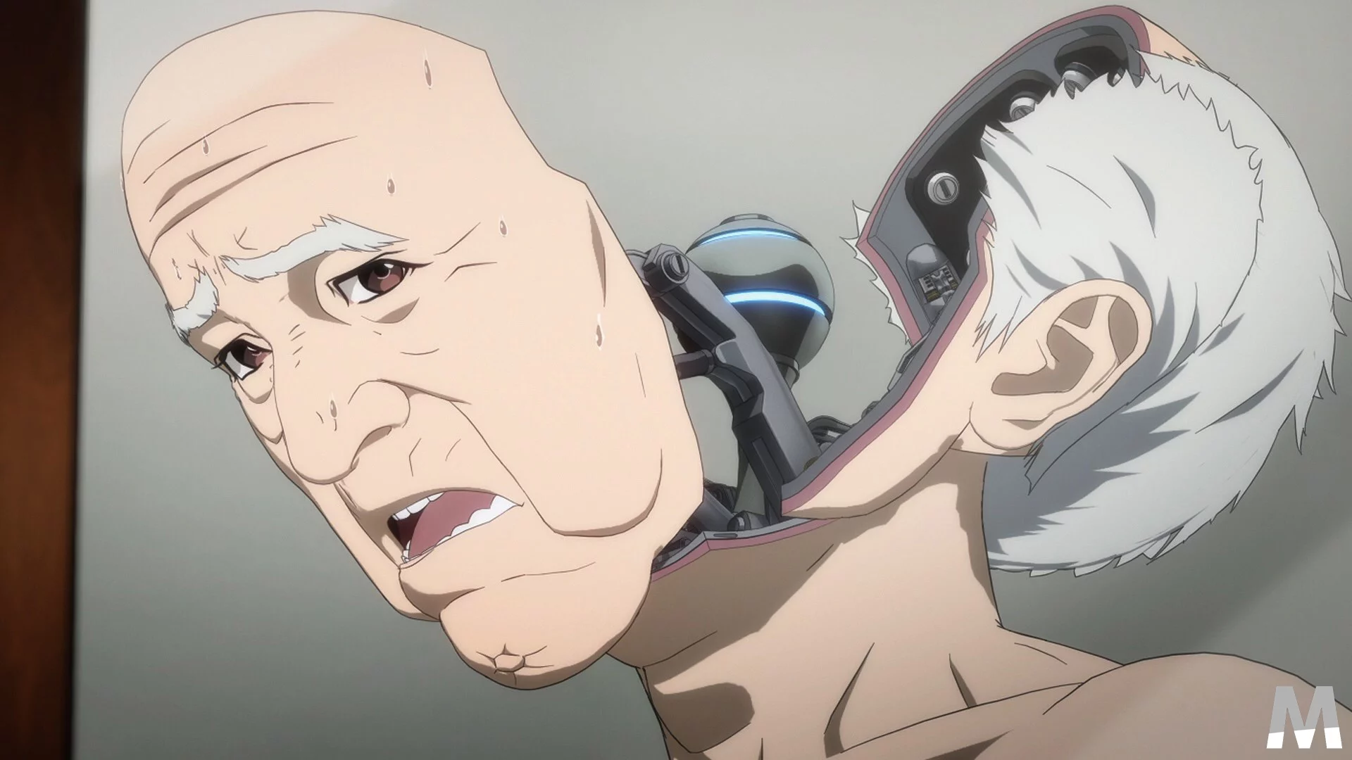 inuya1