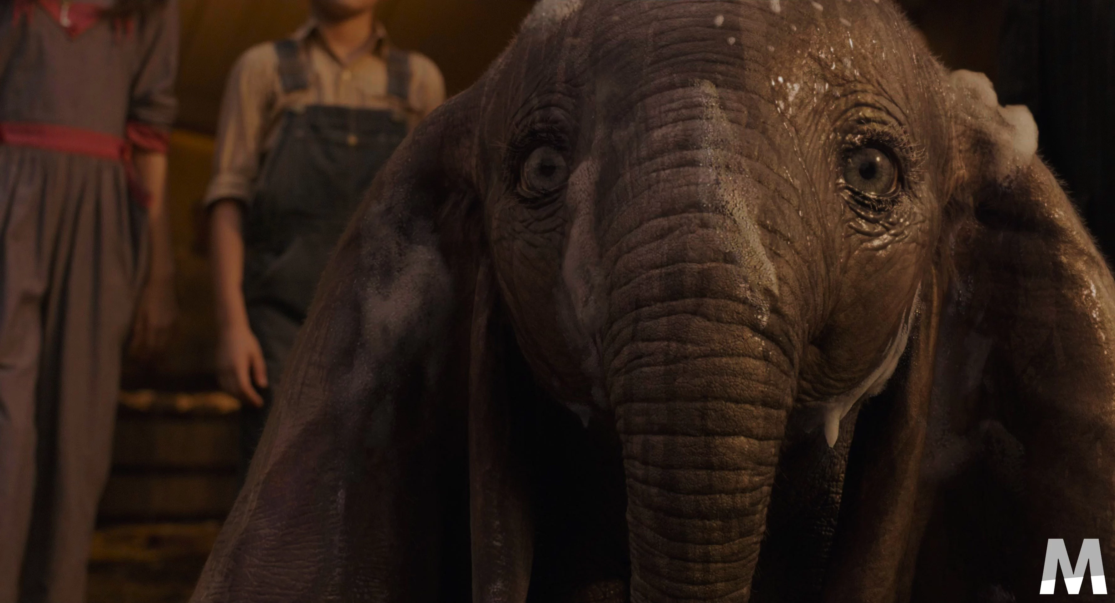 dumbo3