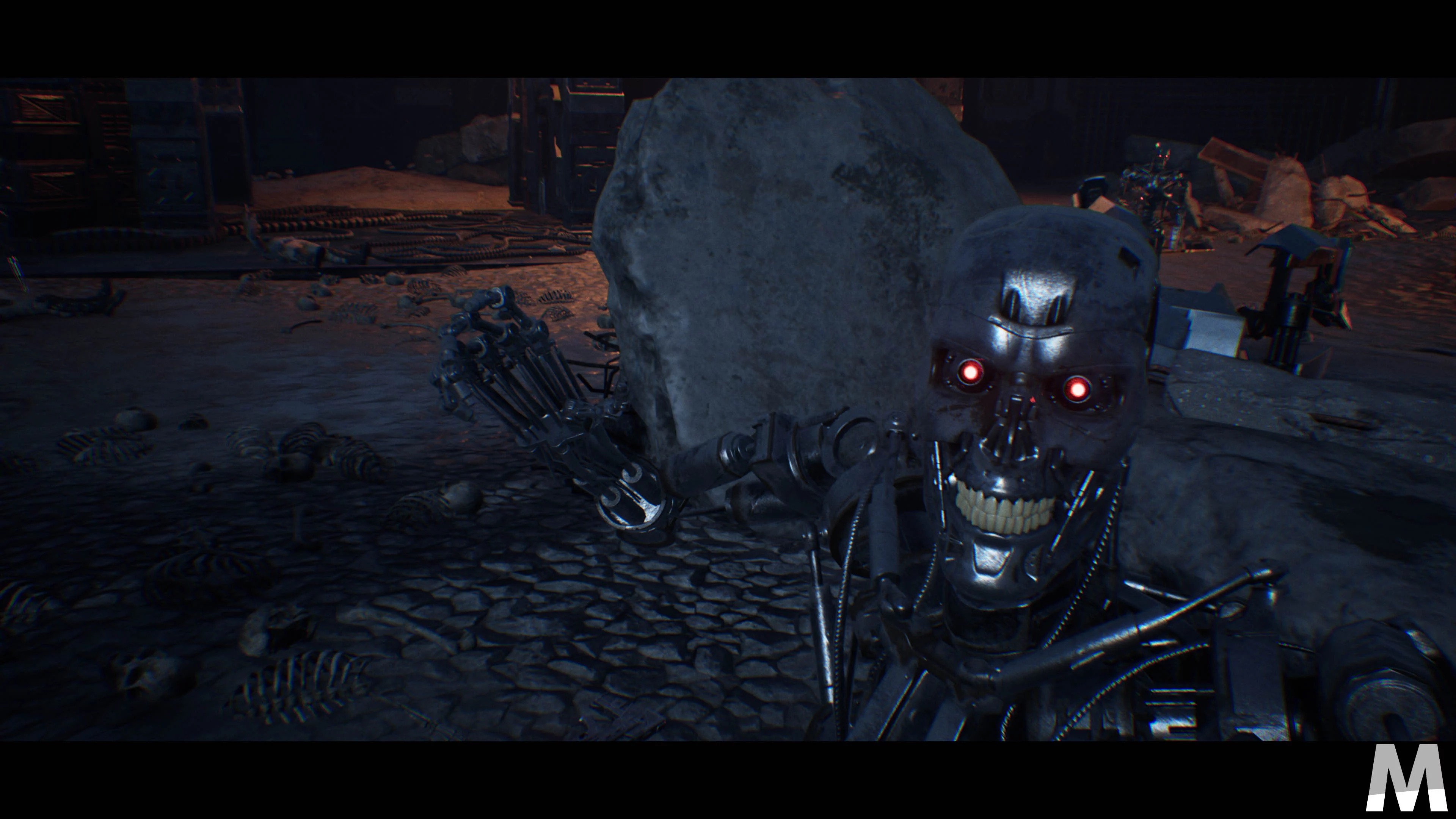 TERMINATOR RESISTANCE 20