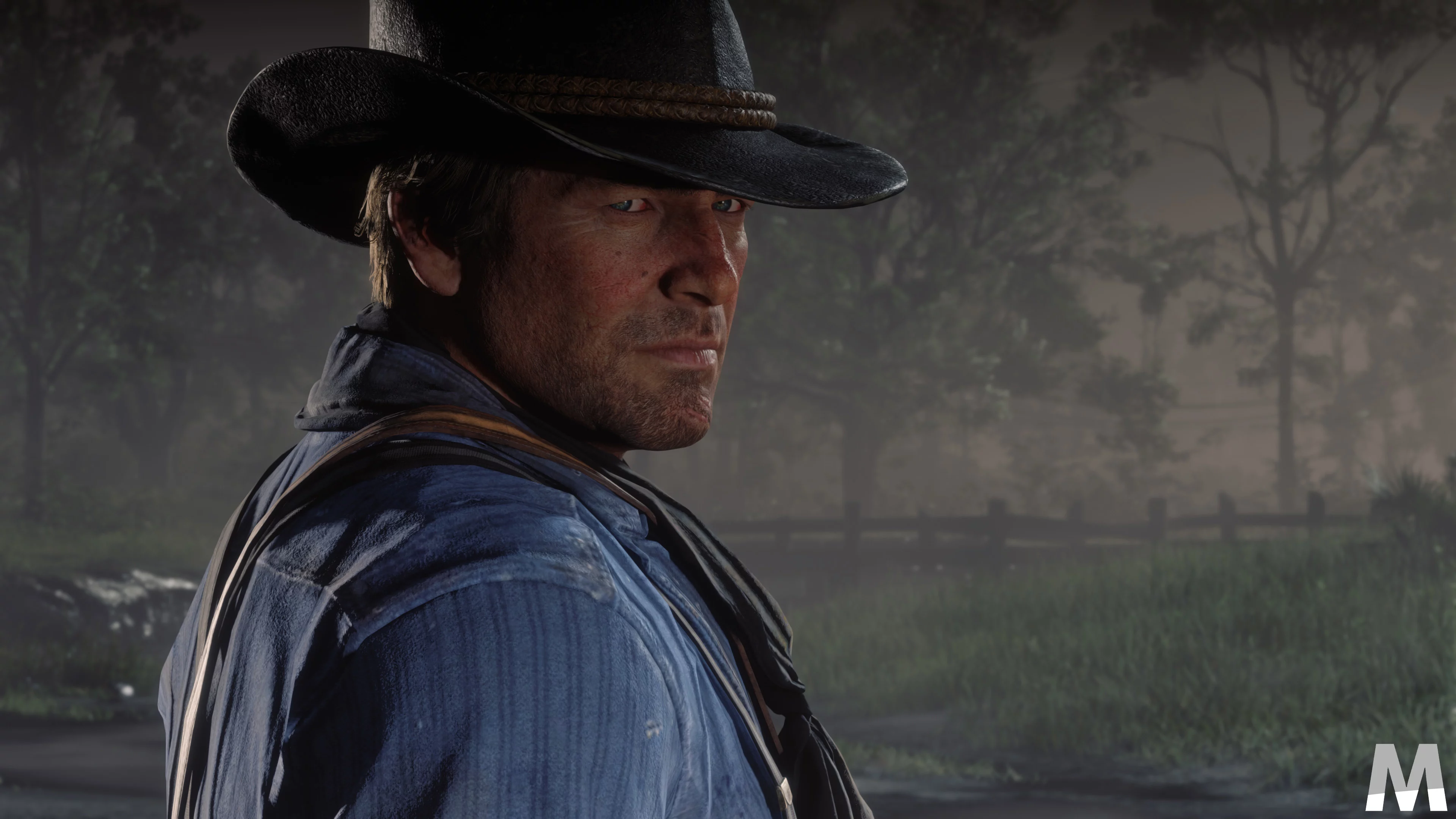 rdr2pc1