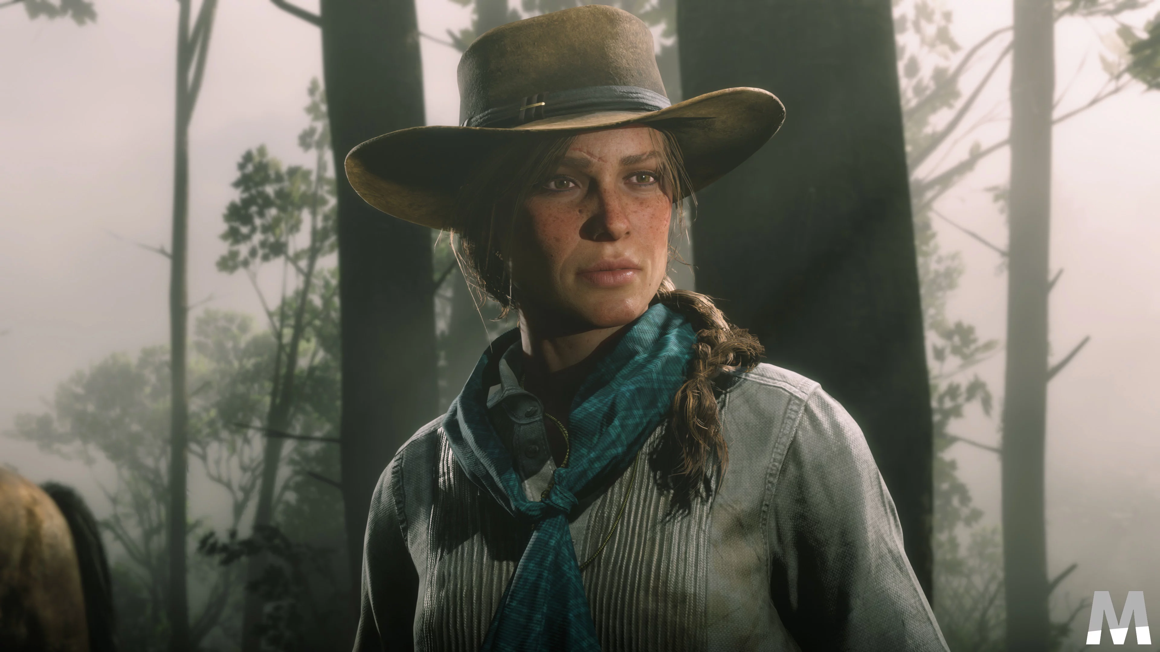 rdr2pc5