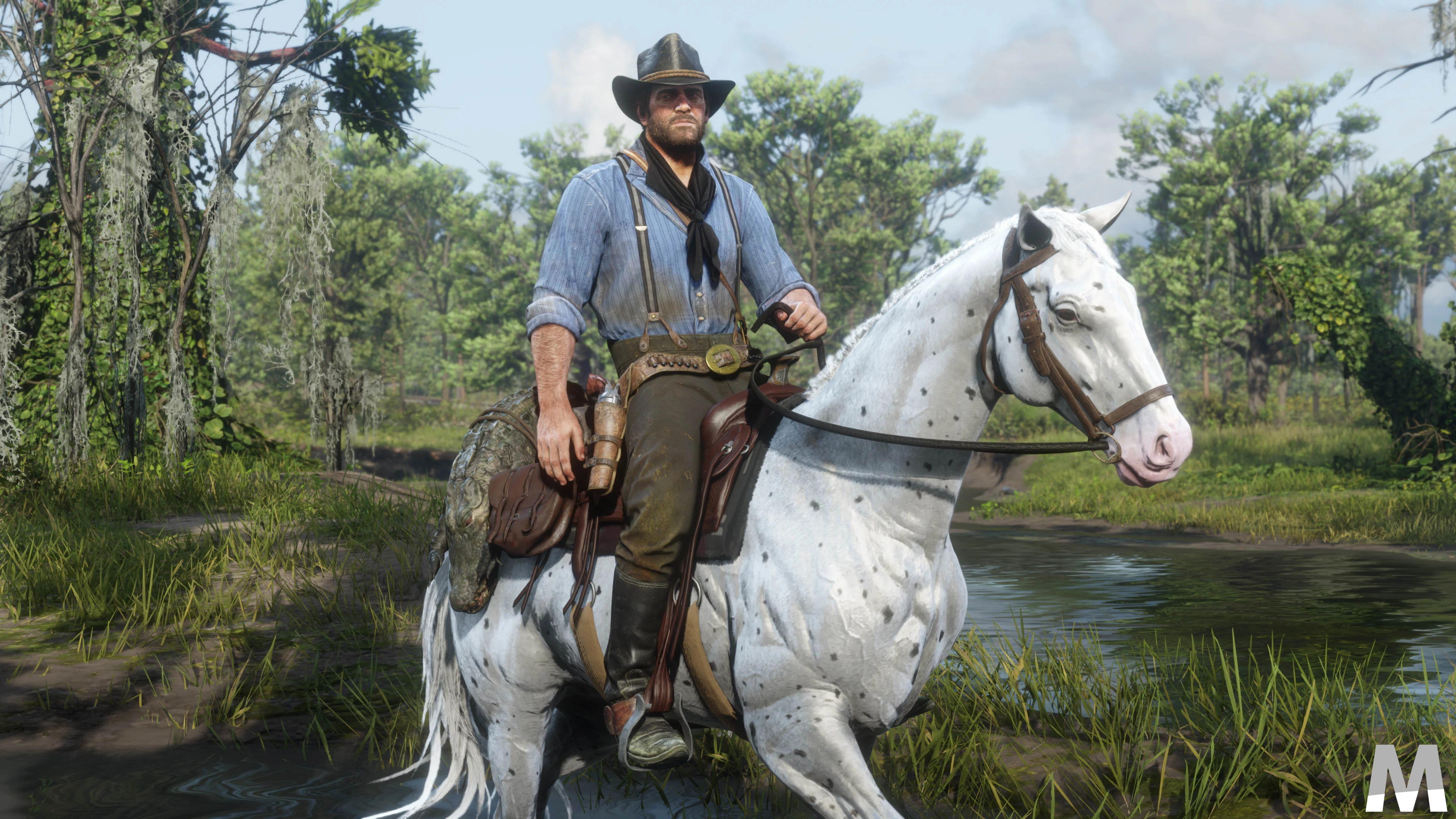 rdr2pc6