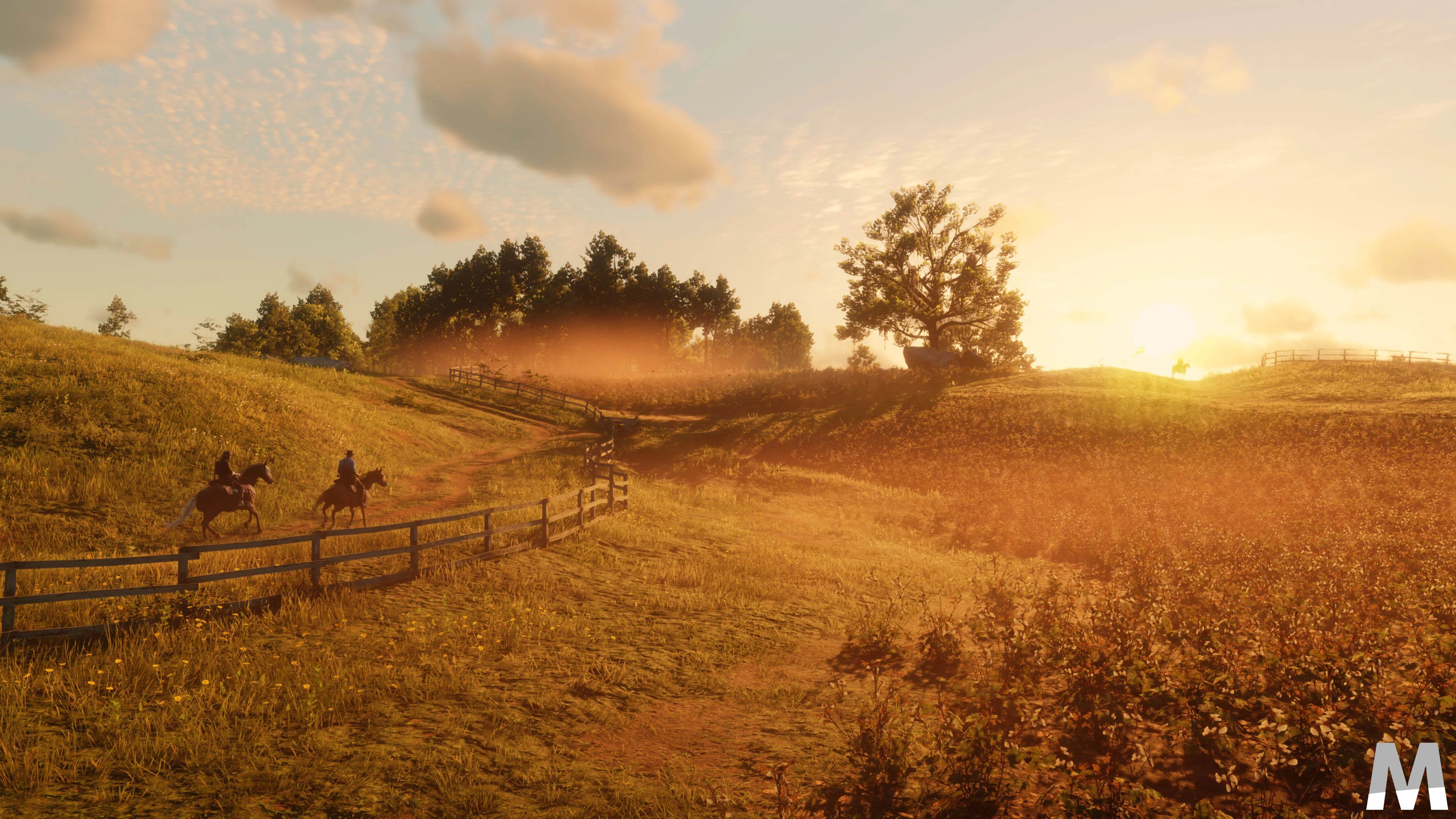 rdr2pc9