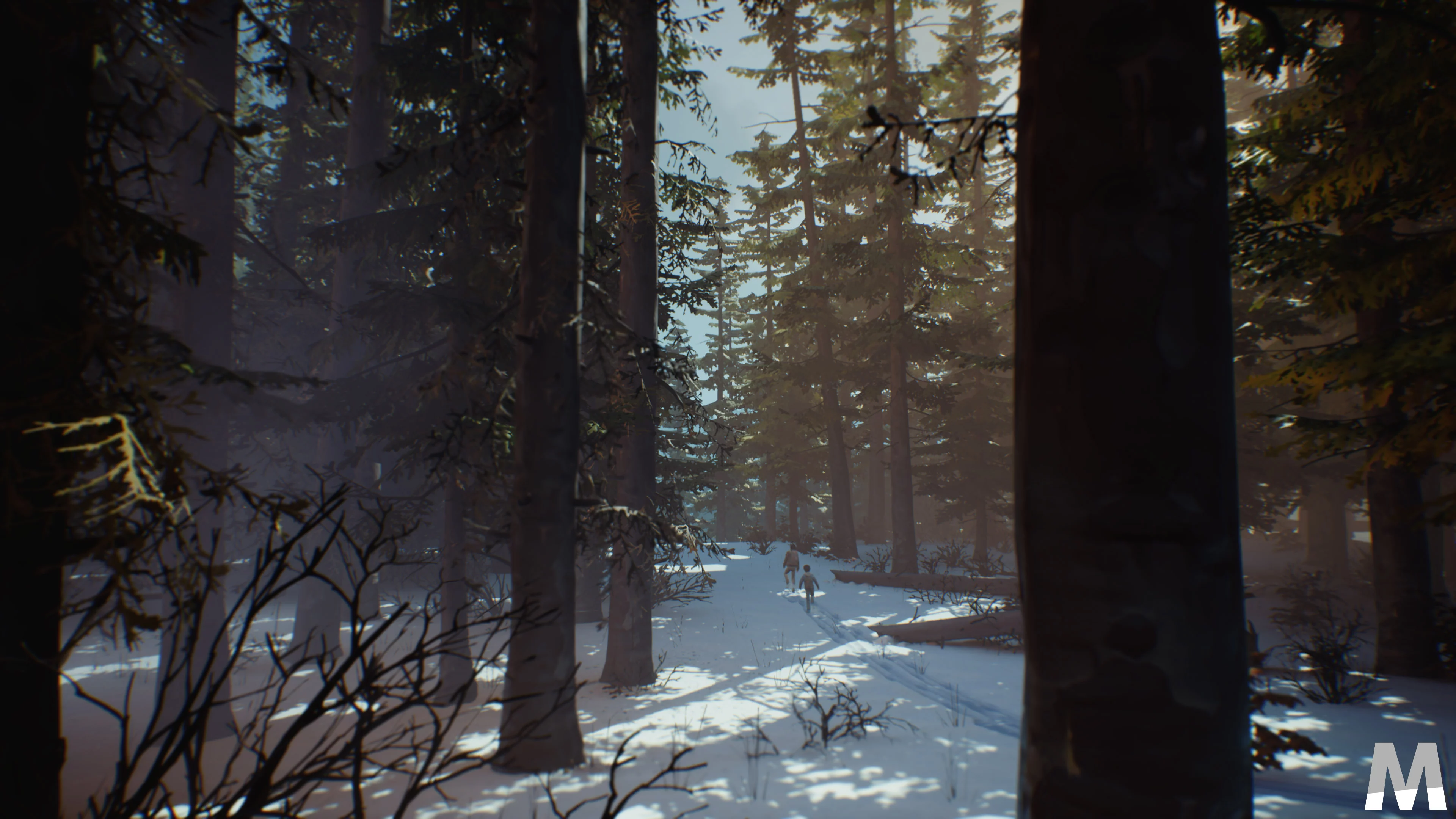 Life is Strange 2 Episode 1 8