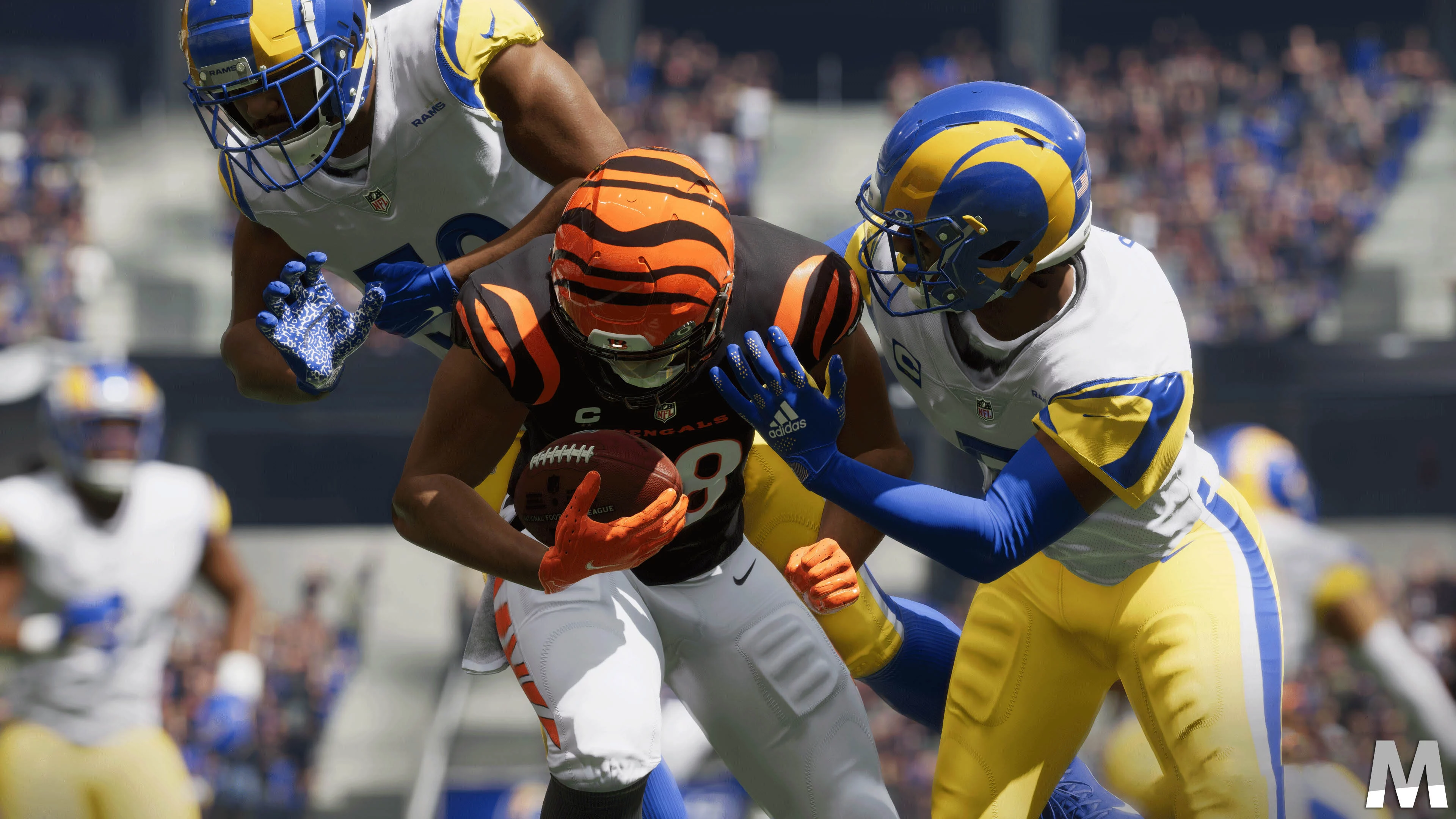 nfl231