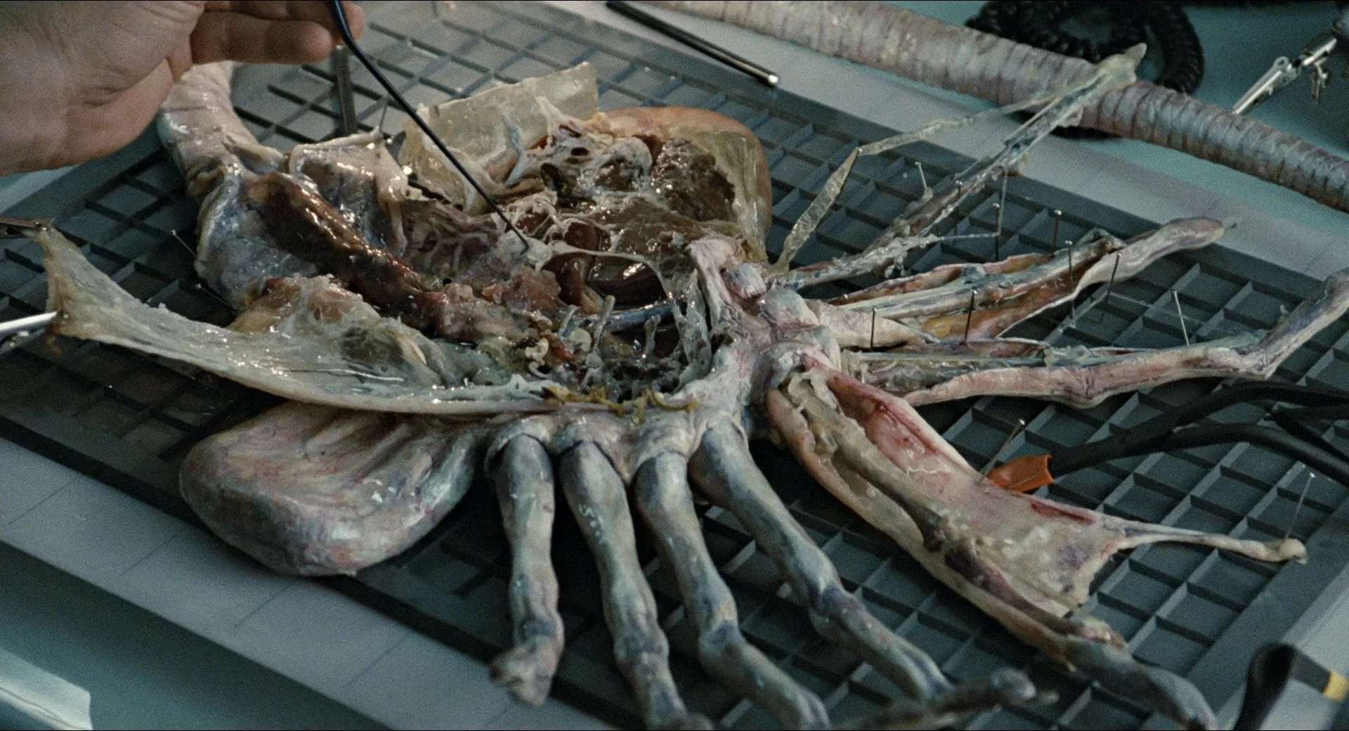 Blu-Ray (2012)